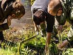 Do Ecologists Work Outside?