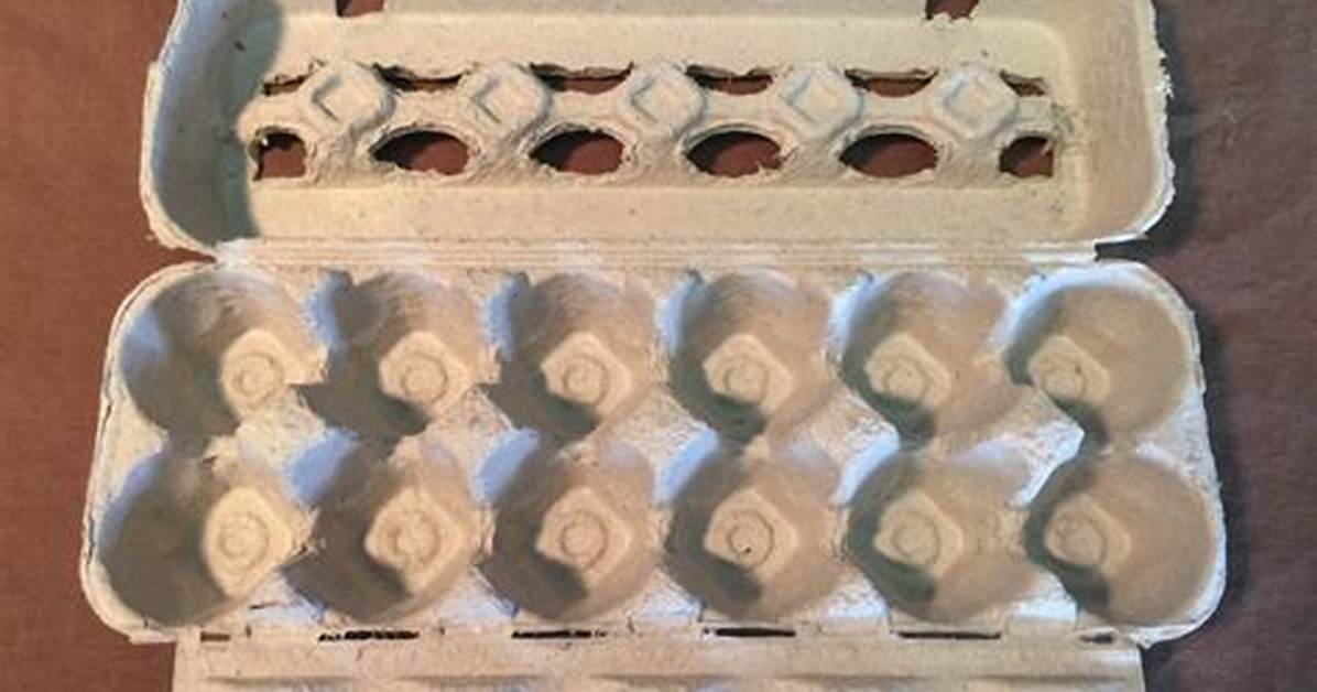 Do Egg Cartons Decompose?