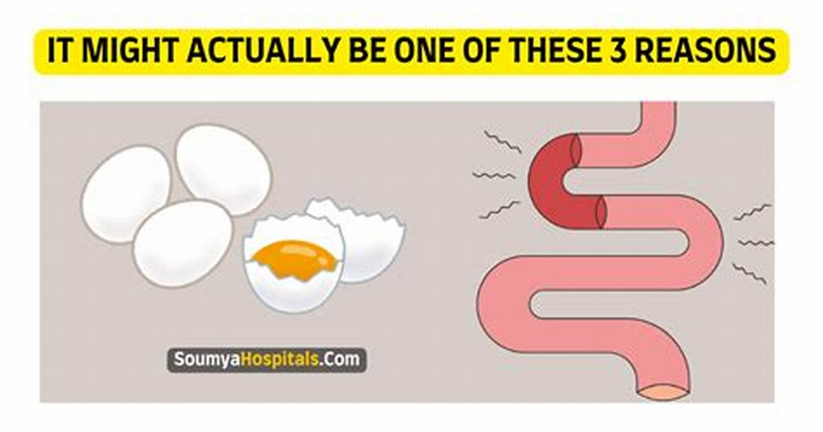 Do Eggs Cause Constipation