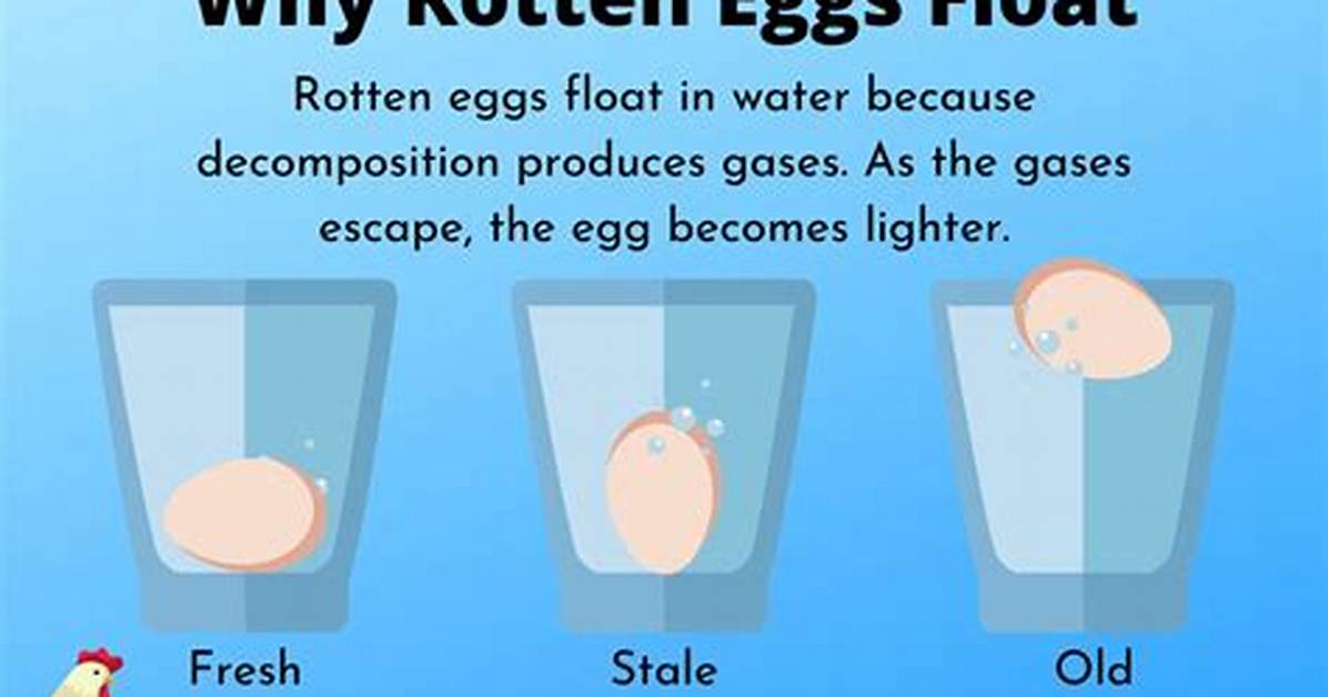 Do Eggs Float When Bad