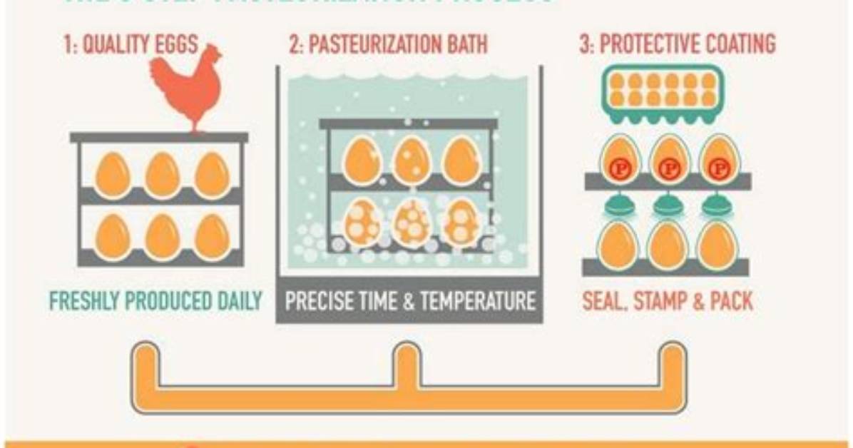Do Eggs Get Pasteurized?