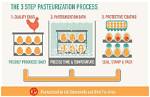 Do Eggs Get Pasteurized?