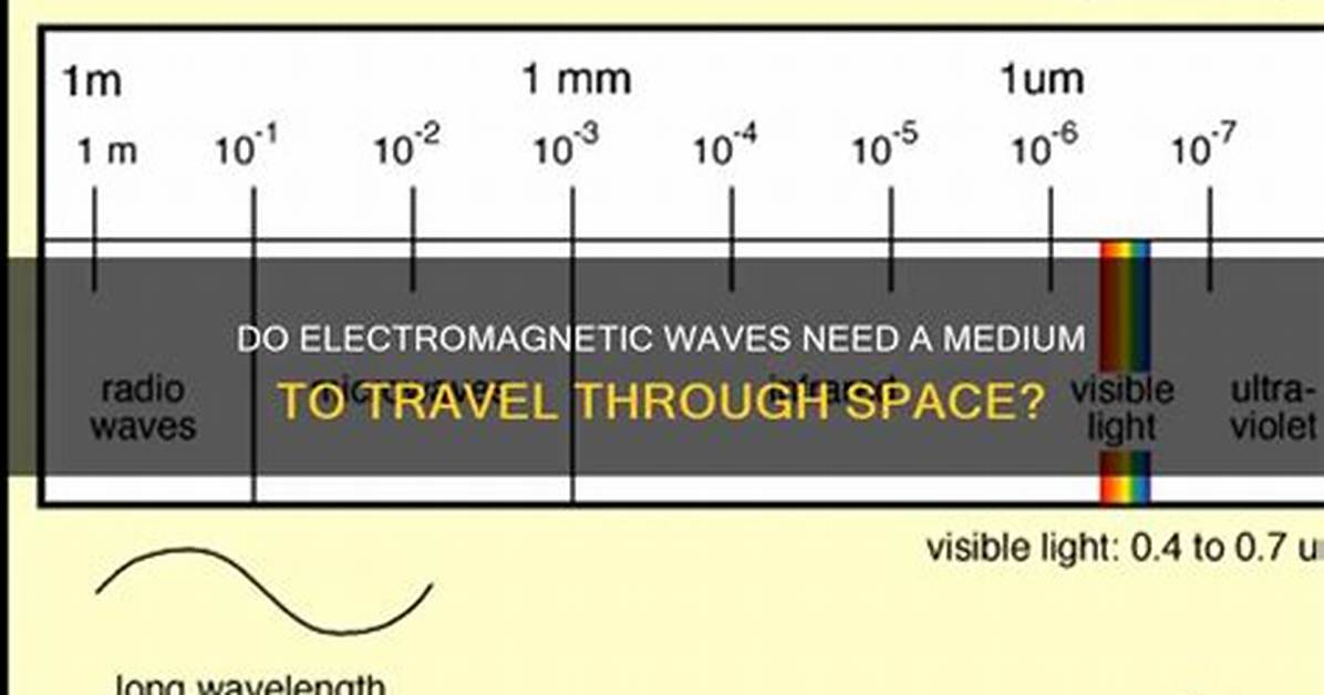 Do Electromagnetic Waves Require a Medium