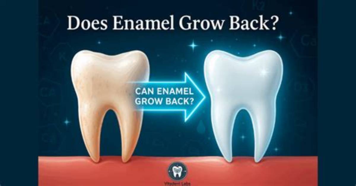 Do Enamel Grow Back?