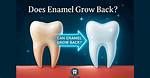 Do Enamel Grow Back?