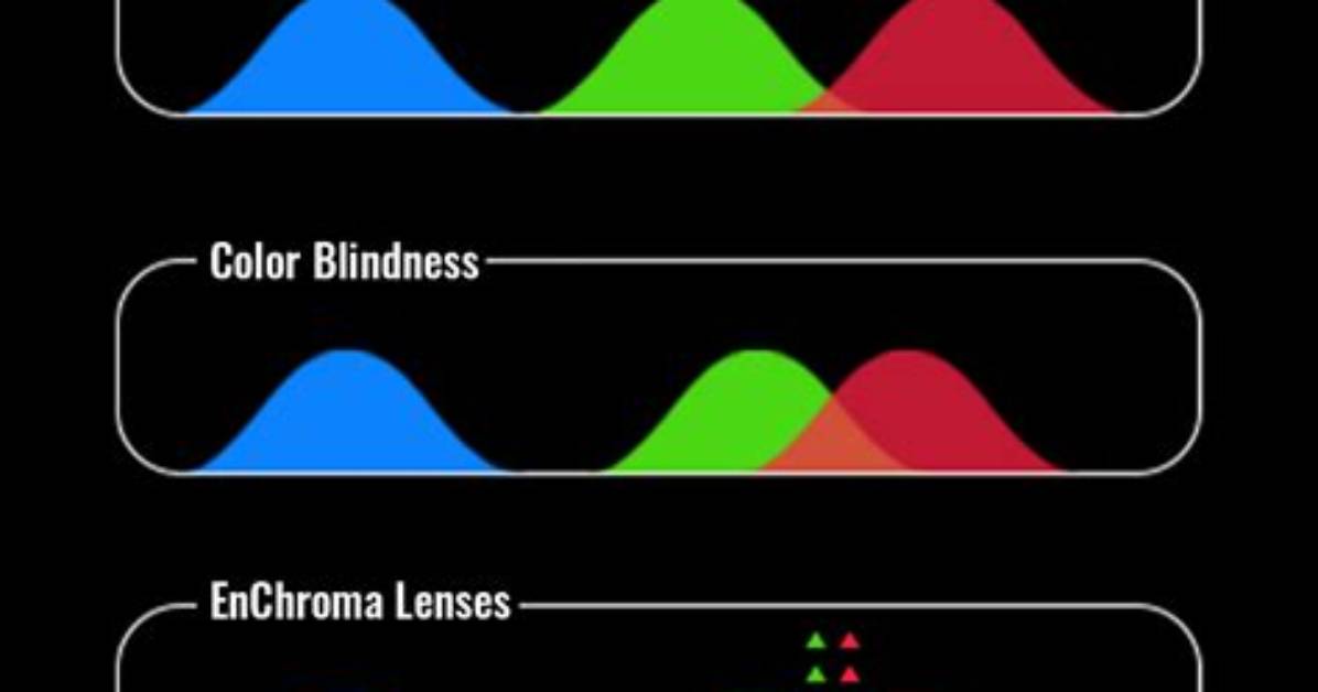 Do Enchroma Glasses Work?
