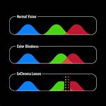Do Enchroma Glasses Work?