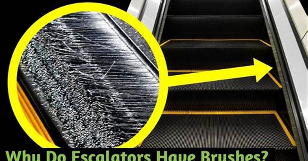 Do Escalators Have Brushes?