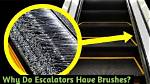 Do Escalators Have Brushes?