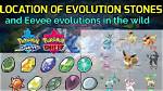 Do Evolution Stones Respawn?