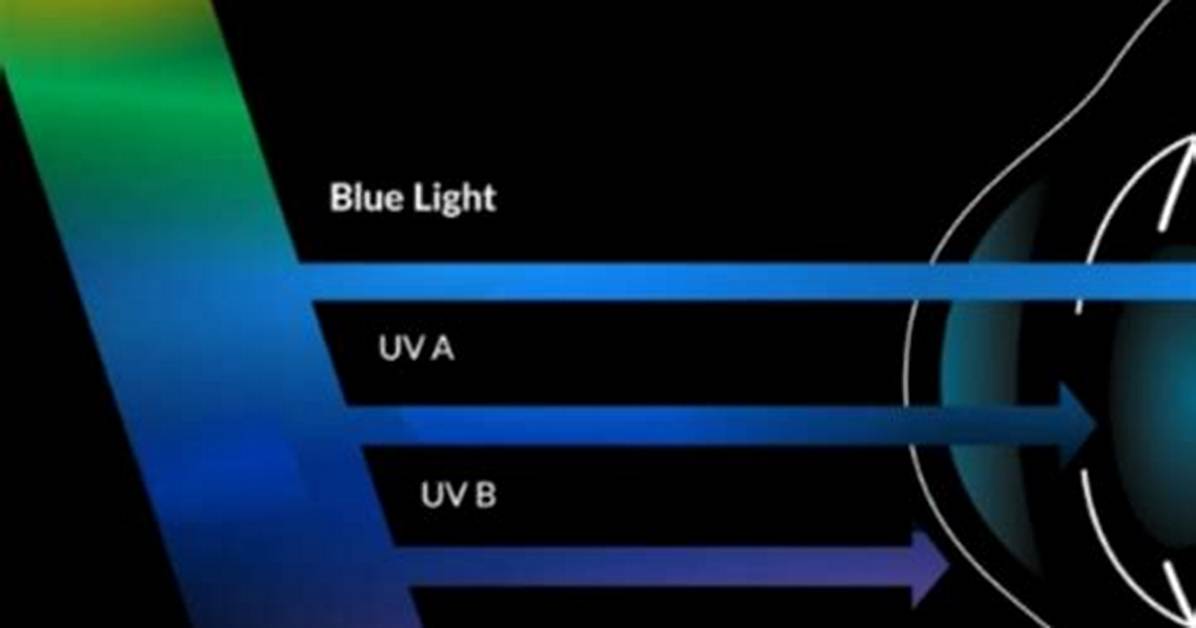 Do Eyelids Block Uv Rays?