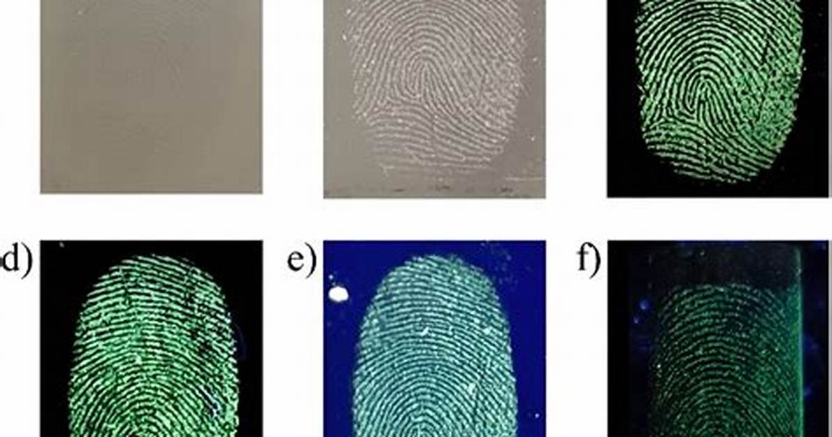 Do Fingerprints Increase Absorbance?