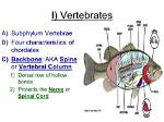 Do Fish Have Backbones