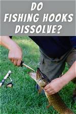 Do Fish Hooks Really Dissolve?