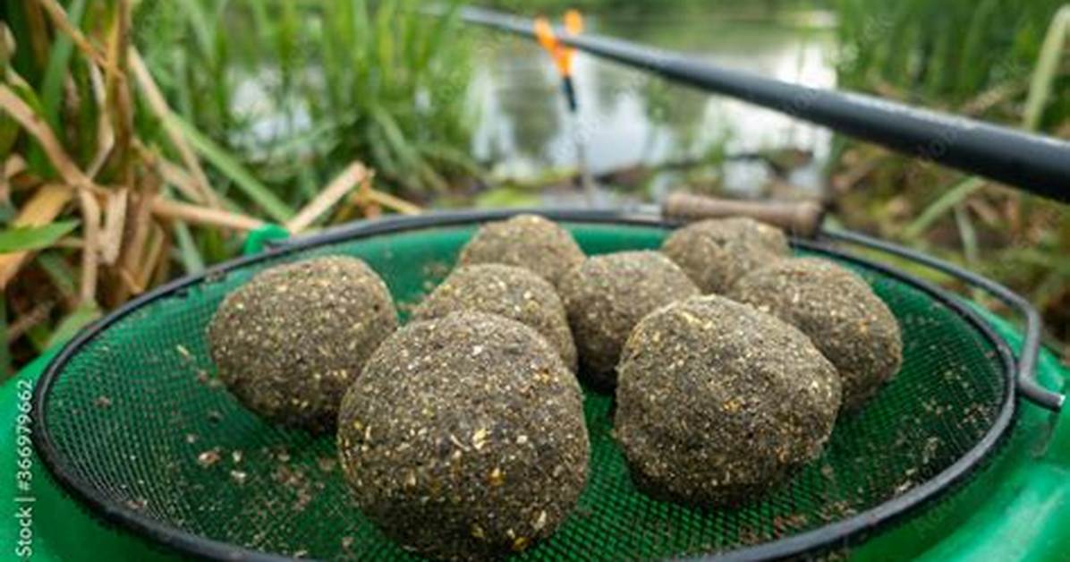 Do Fish Like Baiting?