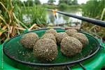 Do Fish Like Baiting?