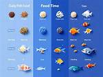 Do Fish Need Feeding?