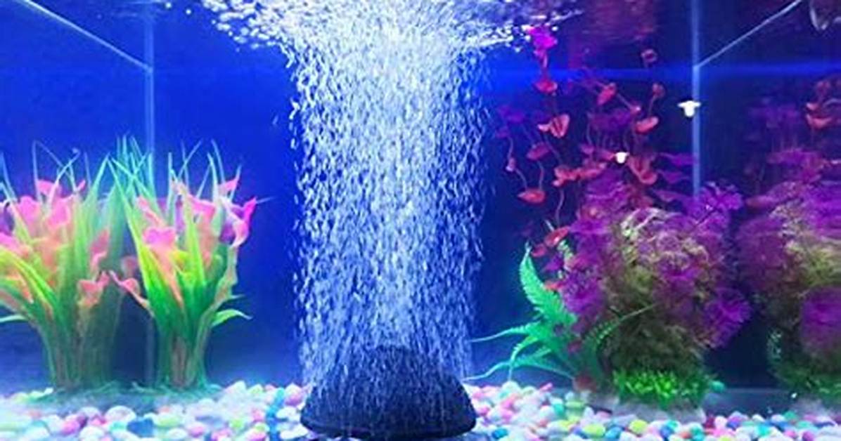 Do Fish Tanks Need Bubblers?