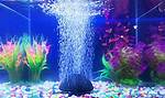 Do Fish Tanks Need Bubblers?