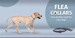Do Flea Collars Work