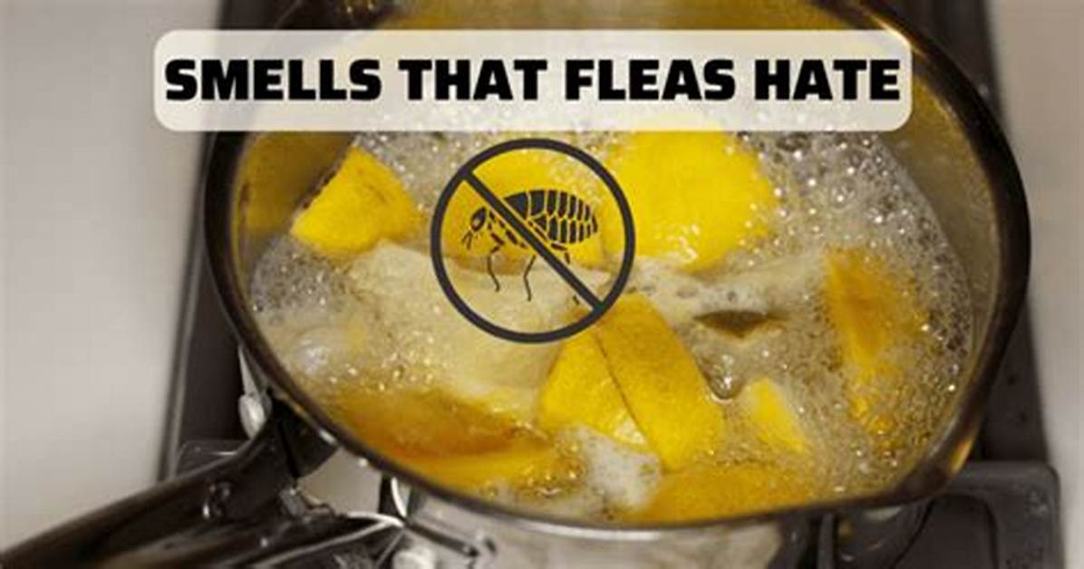 Do Fleas Hate Lemon Scent