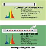 Do Fluorescent Grow Lights Work?