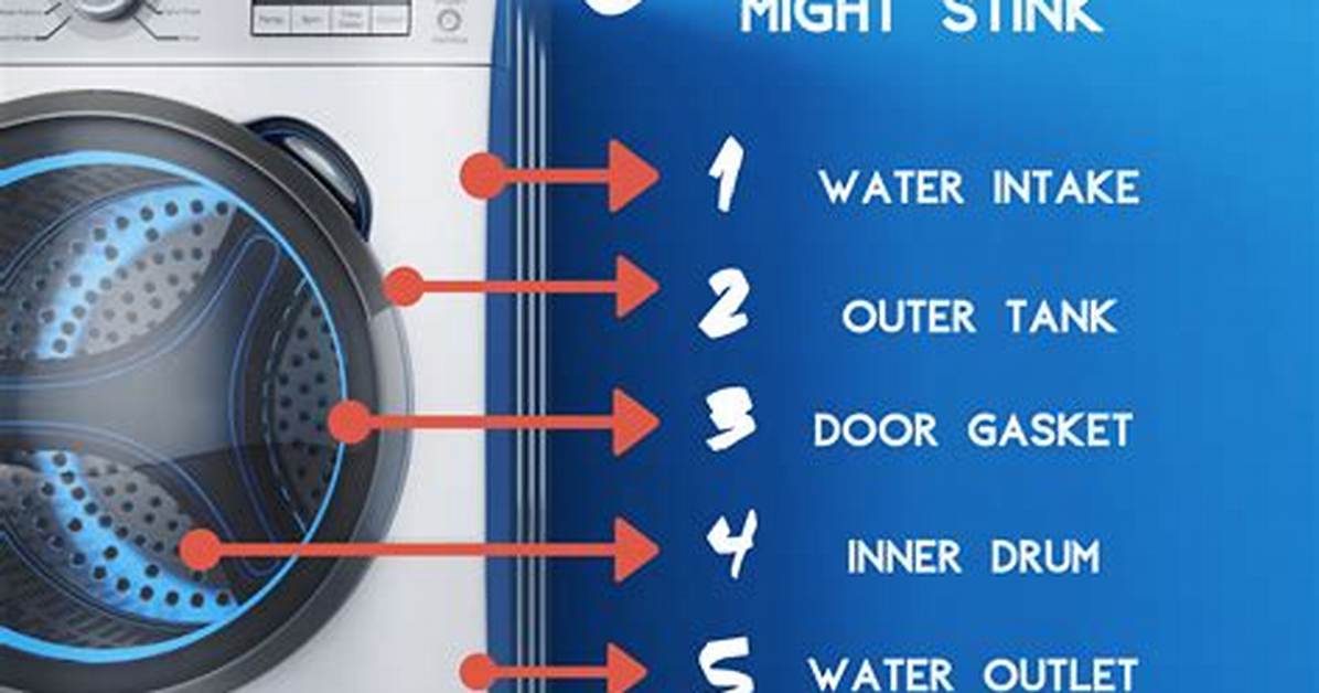 Do Front Load Washers Stink?