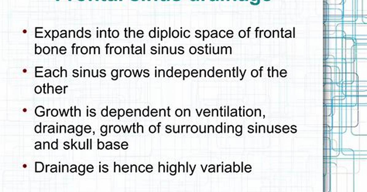 Do Frontal Sinuses Drain?