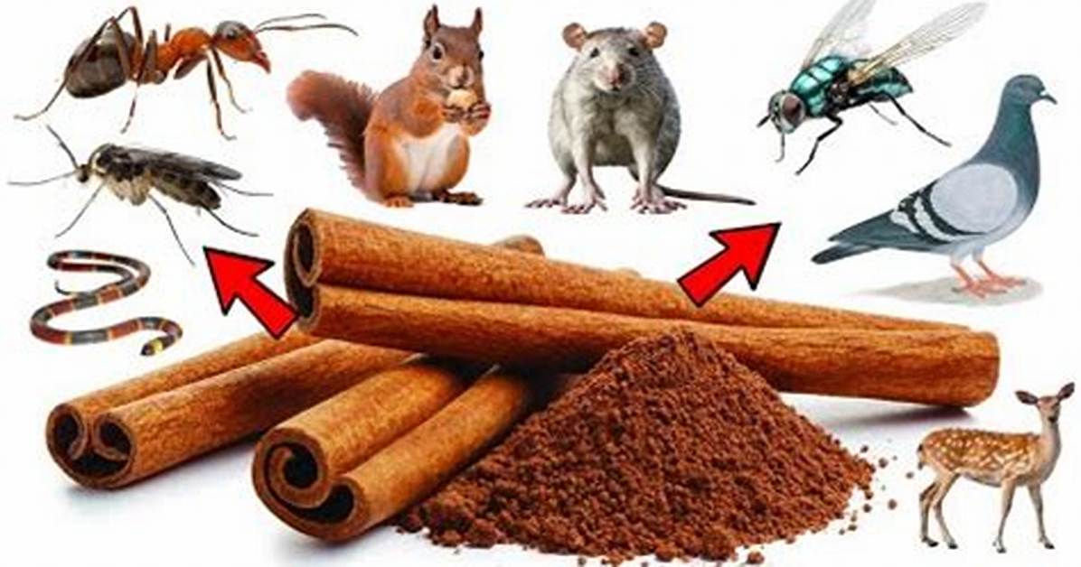 Do Fruit Flies Hate Cinnamon?