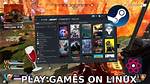Do Games Work on Linux?