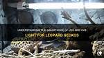 Do Geckos Need Uvb Light?