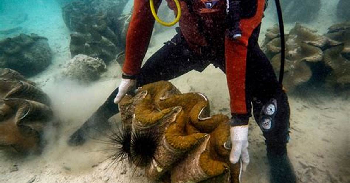Do Giant Clams Bite