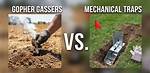 Do Gopher Gassers Work?