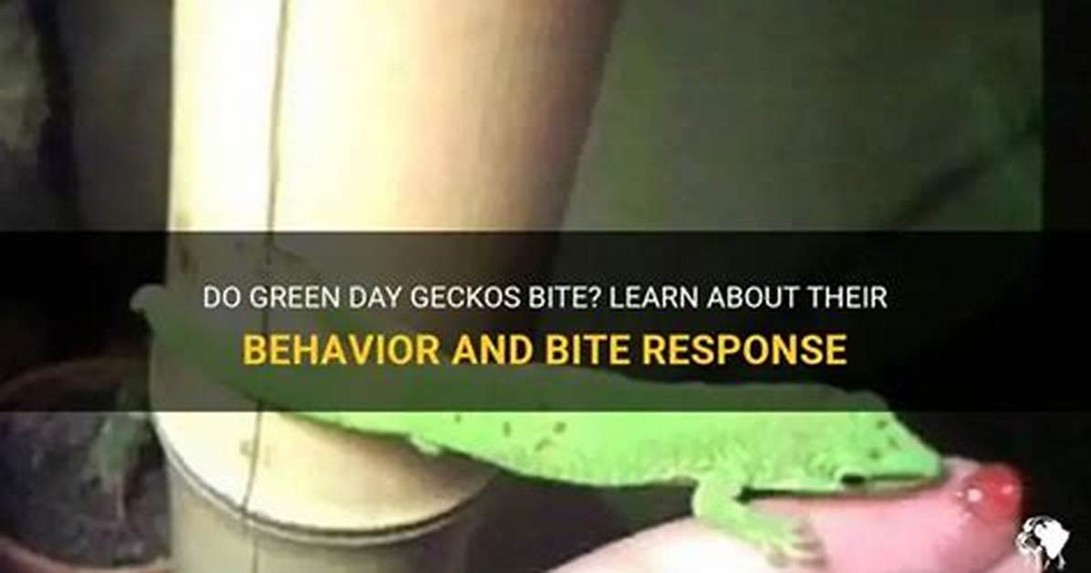 Do Green Geckos Bite