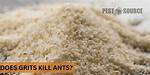 Do Grits Kill Ants? | Contextresponse. Com