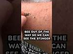 Do Ground Bees Leave Stingers
