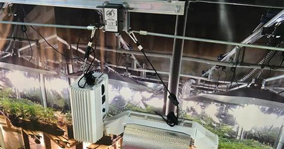 Do Grow Light Movers Work?