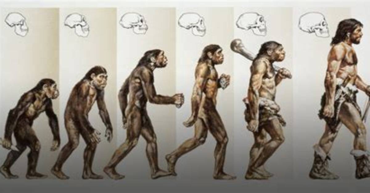 Do Half Humans Exist?