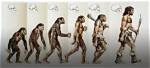 Do Half Humans Exist?