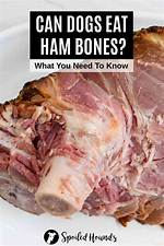 Do Ham Bones Splinter?