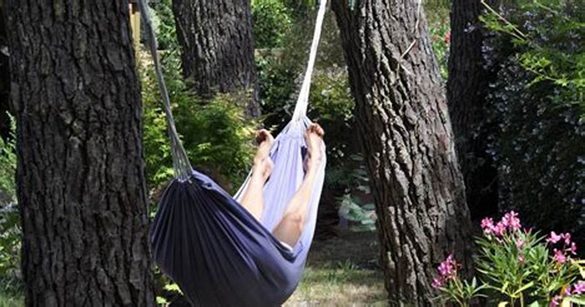 Do Hammocks Hurt Trees?