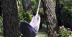 Do Hammocks Hurt Trees?