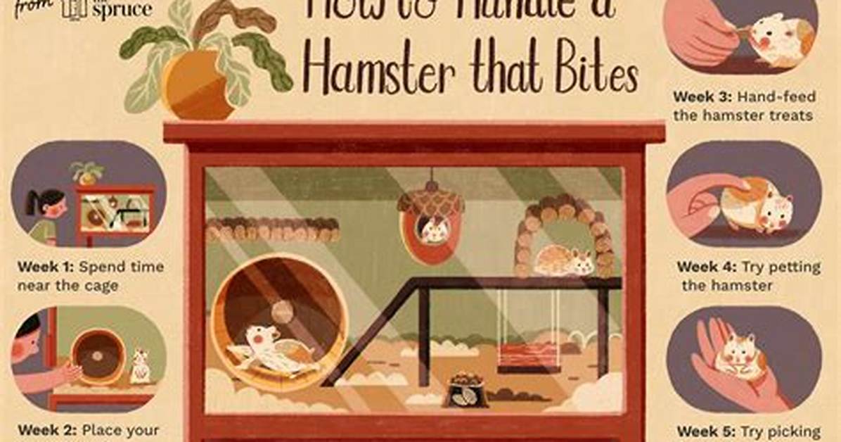 Do Hamsters Bite
