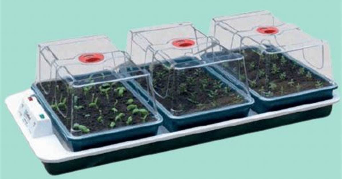 Do Heated Propagators Work?