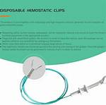 Do Hemostatic Clips Dissolve?