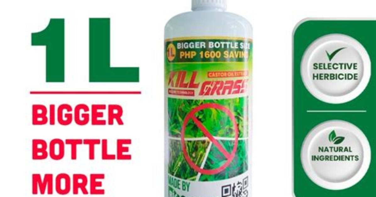 Do Herbicides Kill Grass?