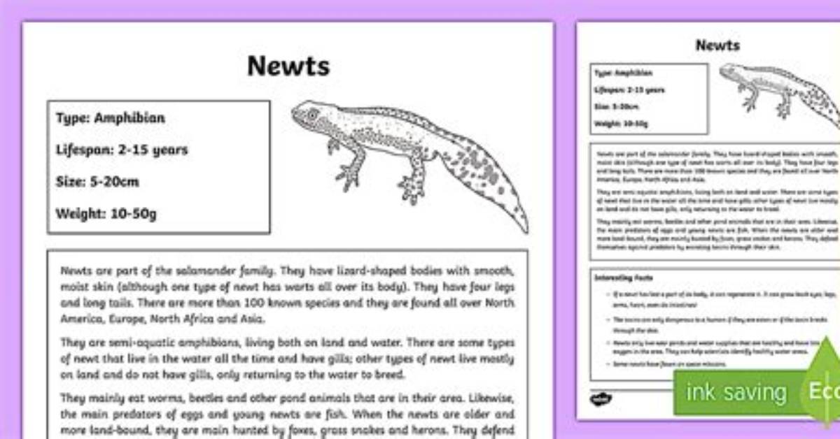 Do Herpetologists Study Newts?