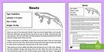 Do Herpetologists Study Newts?