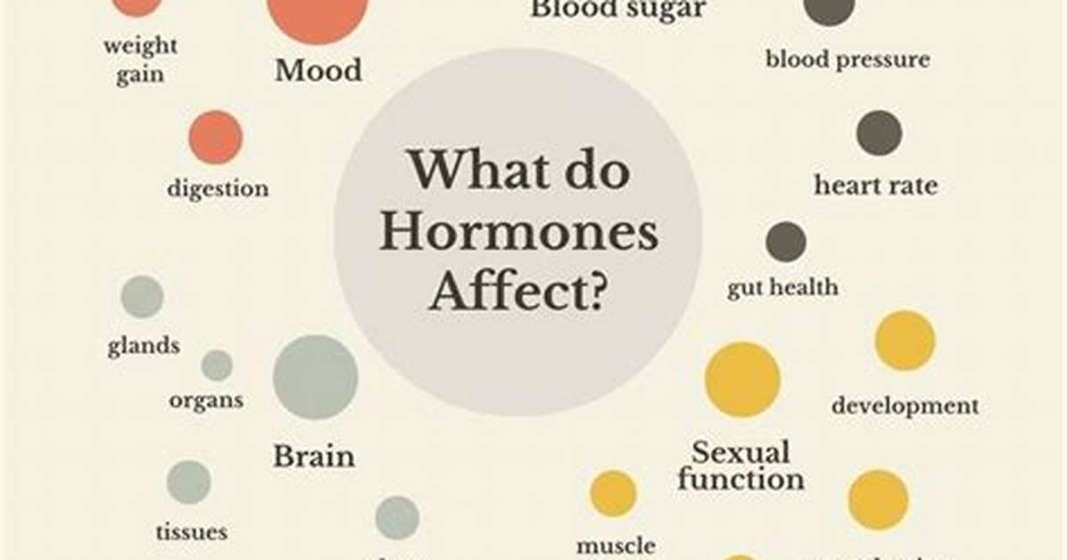 Do Hormones Affect Behavior?
