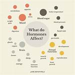 Do Hormones Affect Behavior?